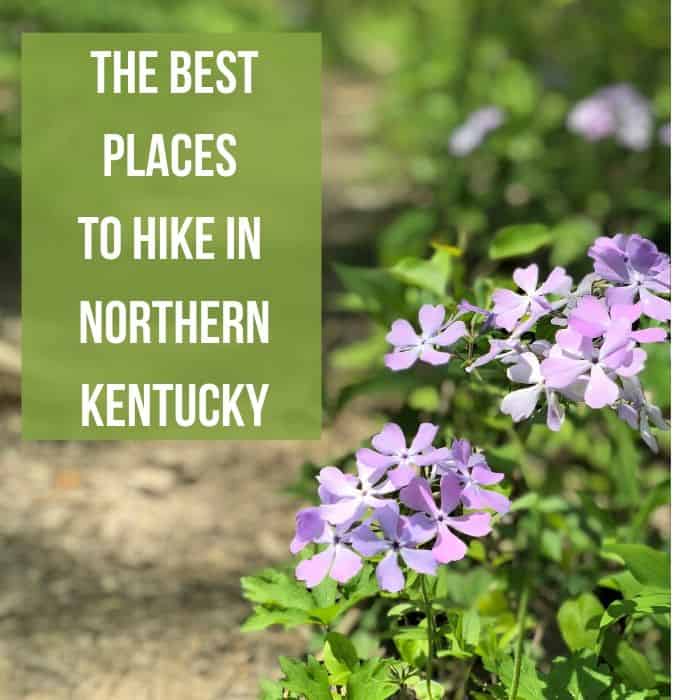 The Best Places to Hike in Northern Kentucky 2