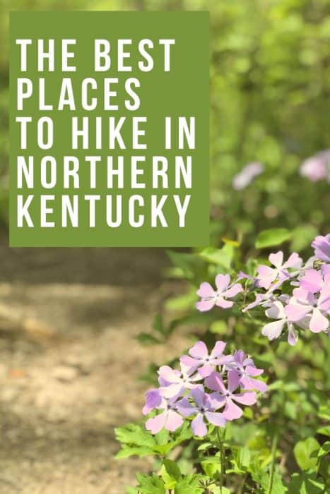 The Best Places to Hike in northern Kentucky 3