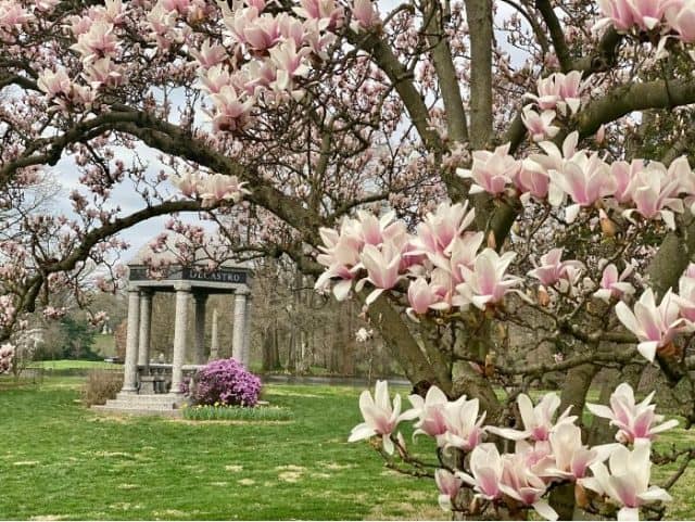 The Best Places to See Spring Flowers in Cincinnati