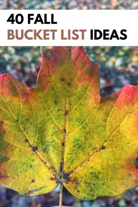 40 Fall Bucket List Ideas 4