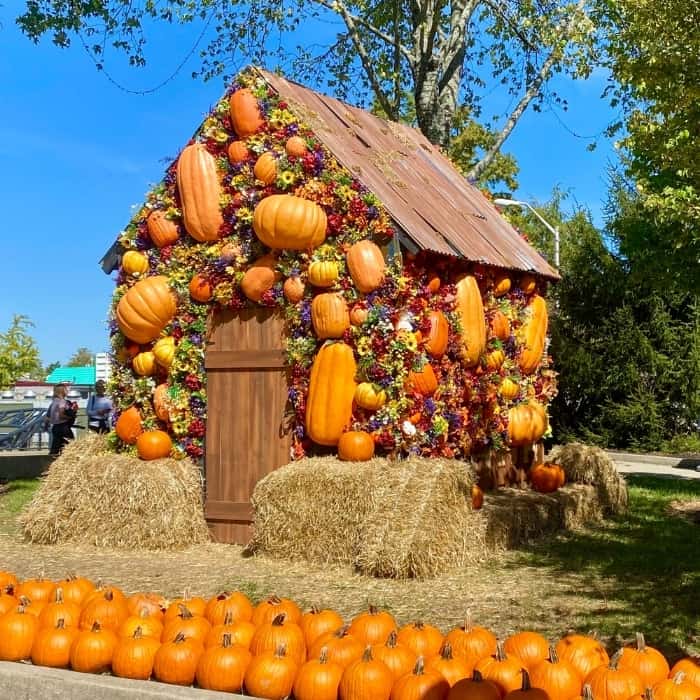 pumpkin themed photo area at Kings Island