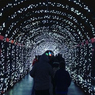 Tips For Visiting Festival Of Lights At The Cincinnati Zoo