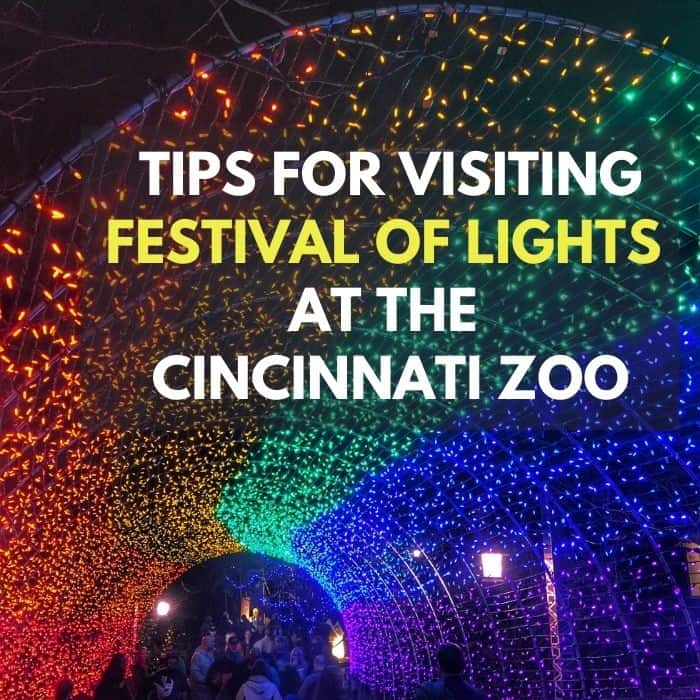 Tips for visiting the Festival of Lights at the Cincinnati Zoo