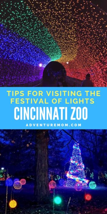 Tips For Visiting Festival of Lights at the Cincinnati Zoo