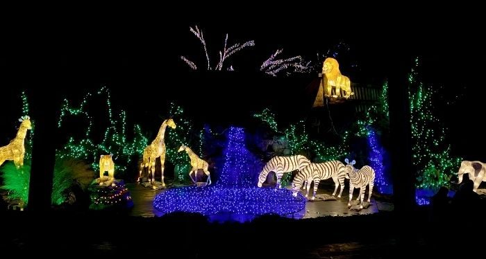animal lanterns at Festival of Lights at the Cincinnati Zoo