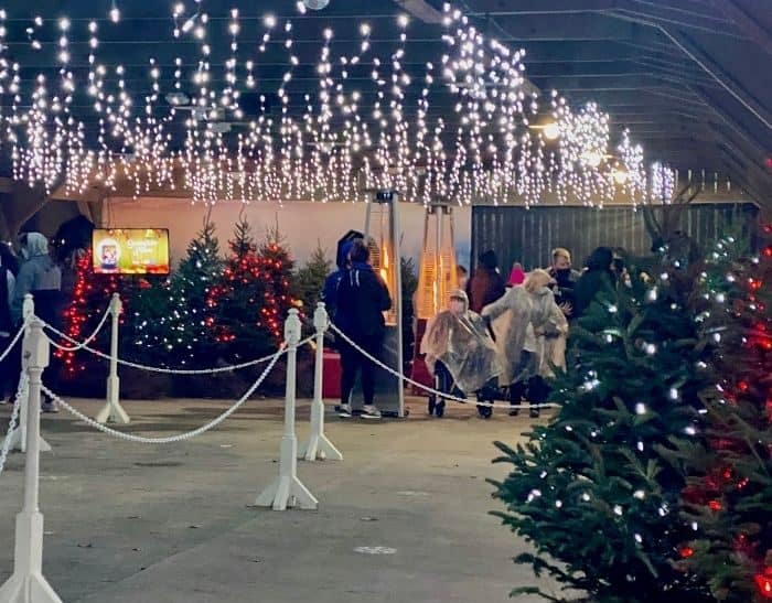 line for Santa at Festival of Lights at the Cincinnati Zoo