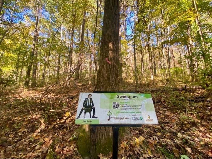 tree with educational sign at Owl's Hill Nature Sanctuary