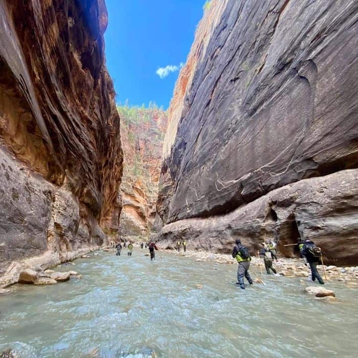 Hike the Narrows for an Incredible Adventure at Zion National Park