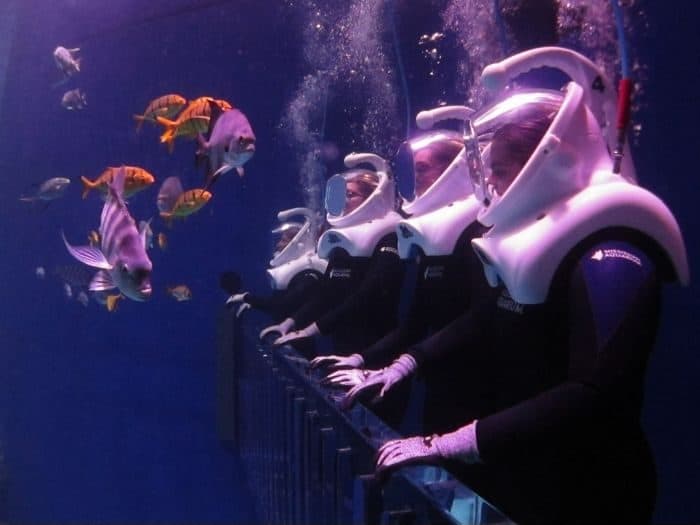 SeaTREK Experience at Mississippi Aquarium