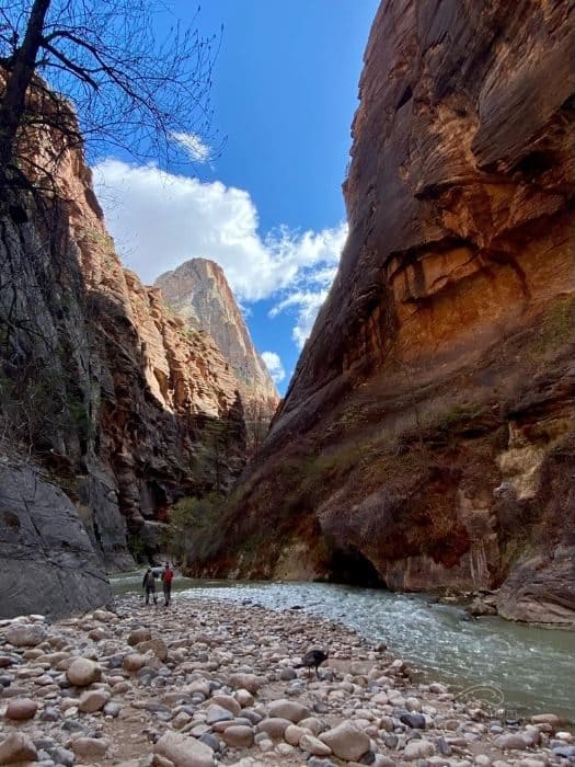 hike The Narrows at Zion National Park