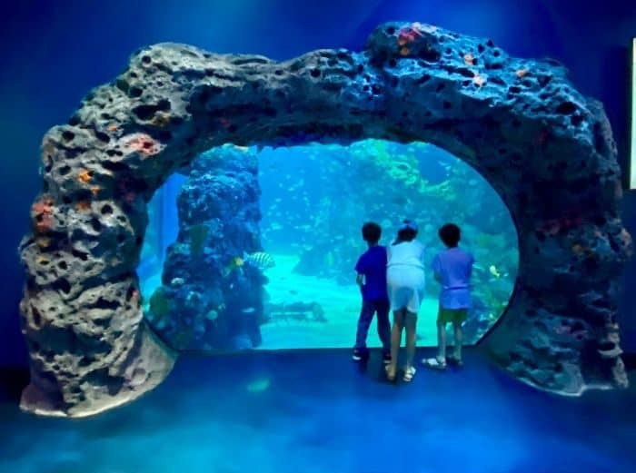 kids at Mississippi Aquarium