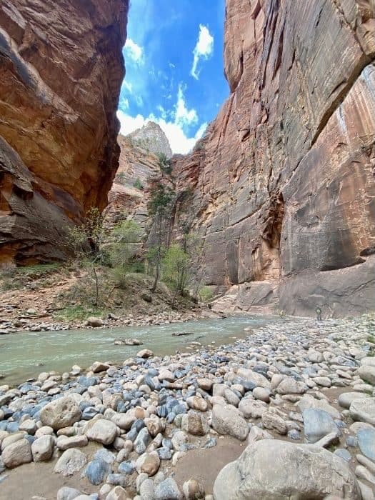 the Narrows at Zion National Park