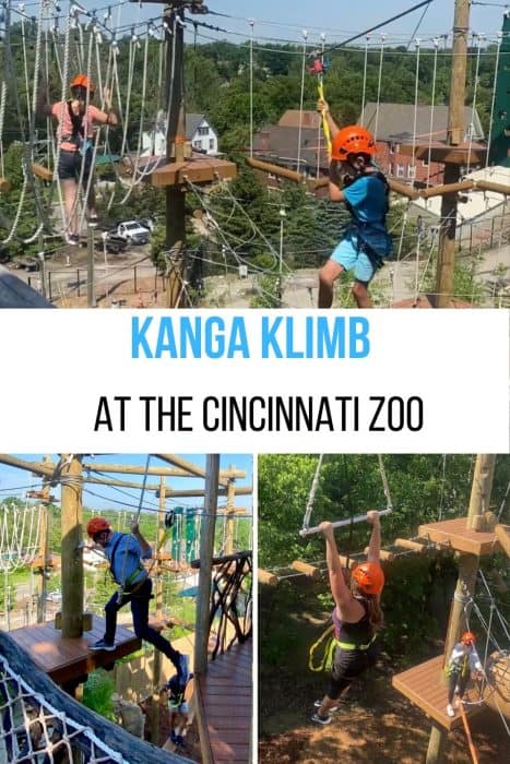 Kanga Klimb at the Cincinnati Zoo