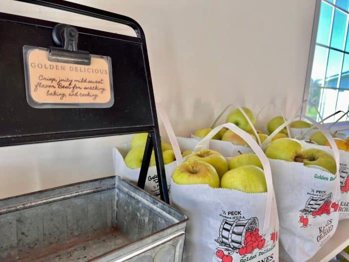 golden delicious apples at Karnes Orchard