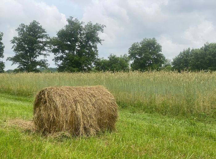 hay bail at Woodhaven Bed and Breakfast