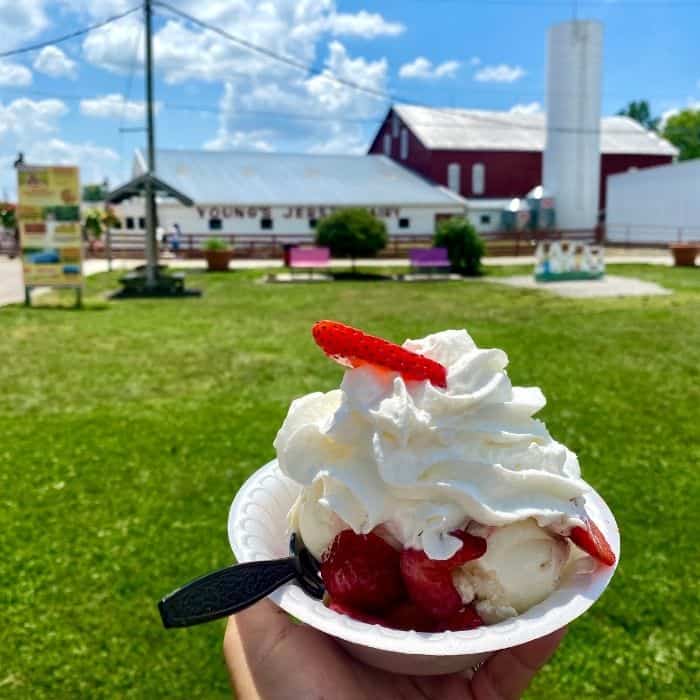 strawberry shortcake at Young's Jersey Dairy