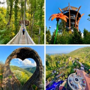 Top Things to Do at Anakeesta