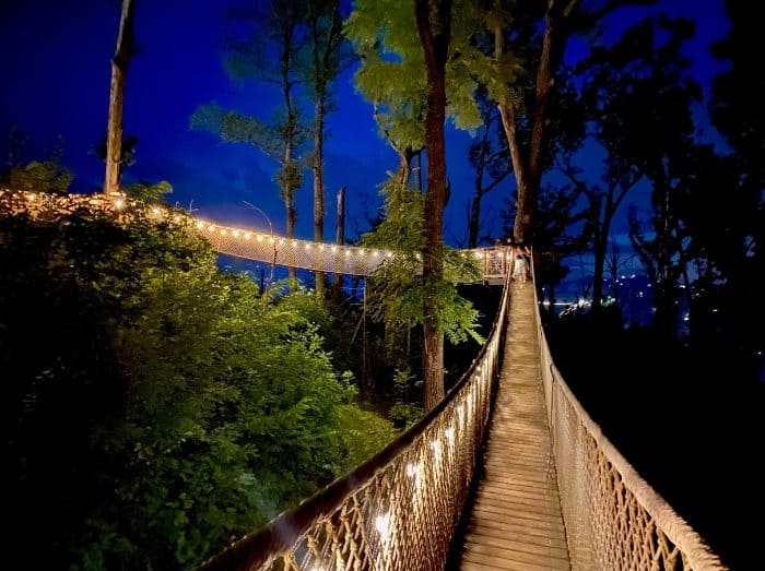 Treetop Skywalk at night at Anakeesta