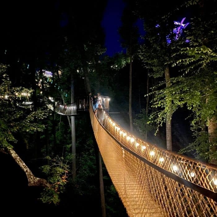 Treetop Skywalk at night at Anakeesta 