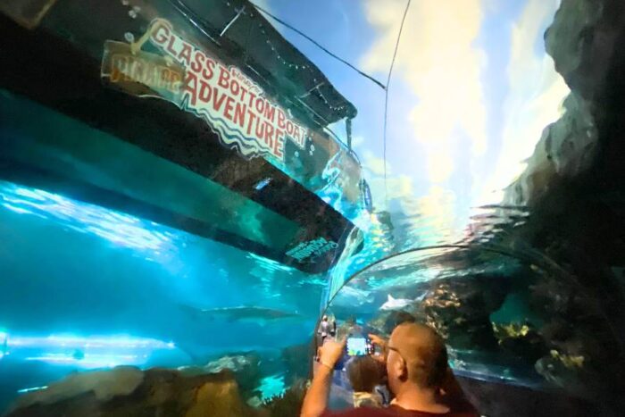 Glass Bottom Boat Ride at Ripley's Aquarium of the Smokies