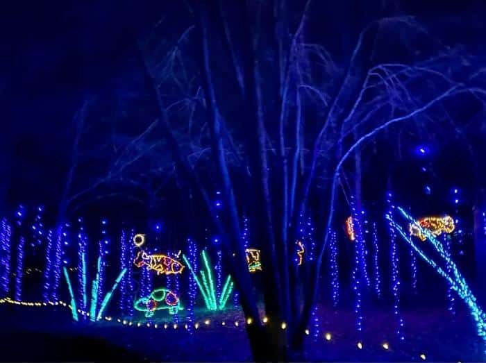 Garden of Lights at the Green Bay Botanical Garden