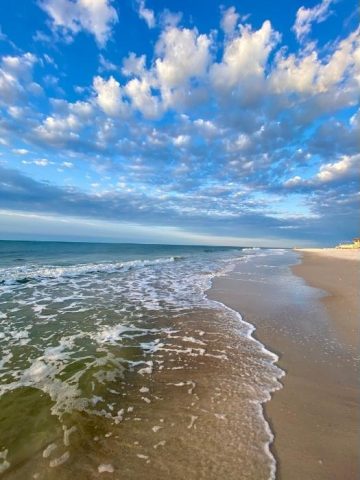 25+ Fun and Unique Things to Do in Gulf Shores, AL