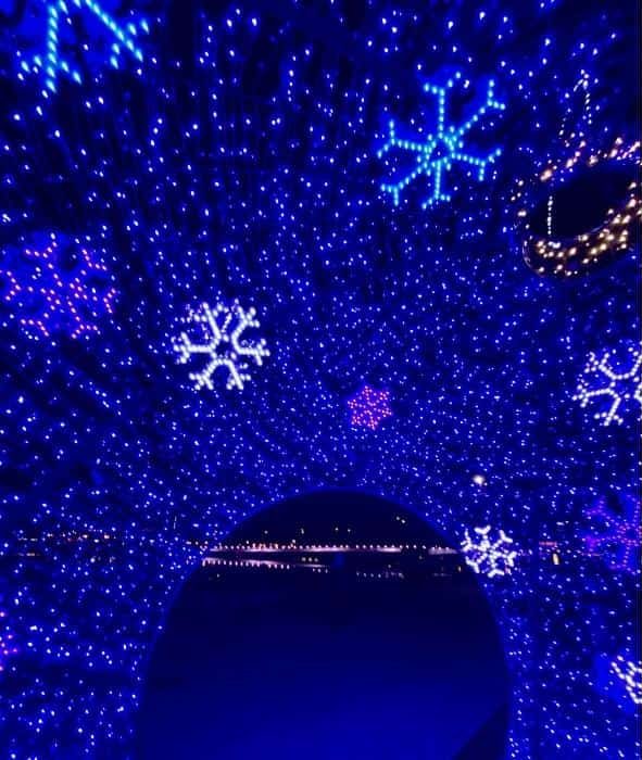 view from inside the giant ornament by Fox River