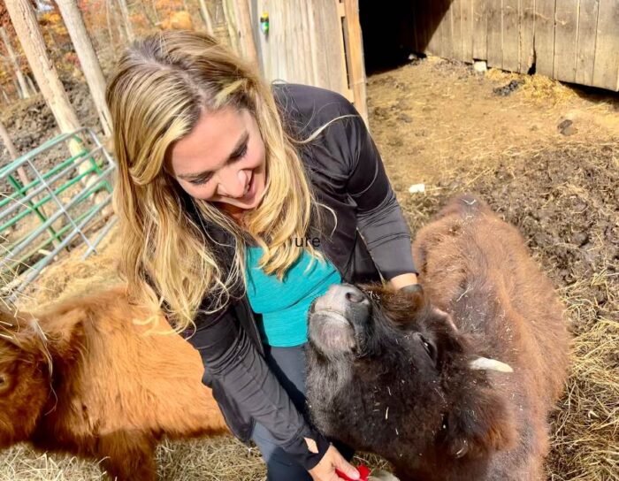 Adventure Mom on Hands-On Highland Cow Experience at Pfarr Farms 