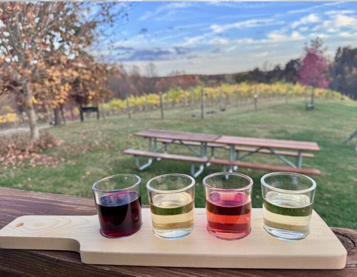 flight at Le Petit Chevalier Vineyards and Farm Winery