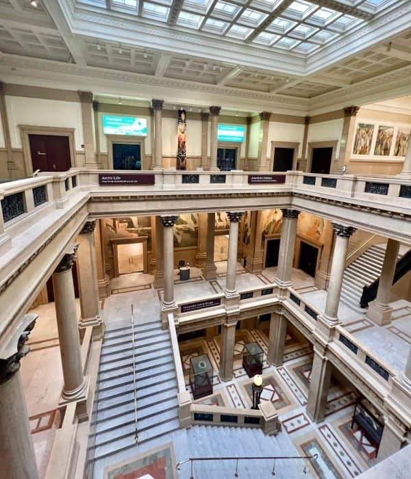 Carnegie Museum of Art and Natural History.