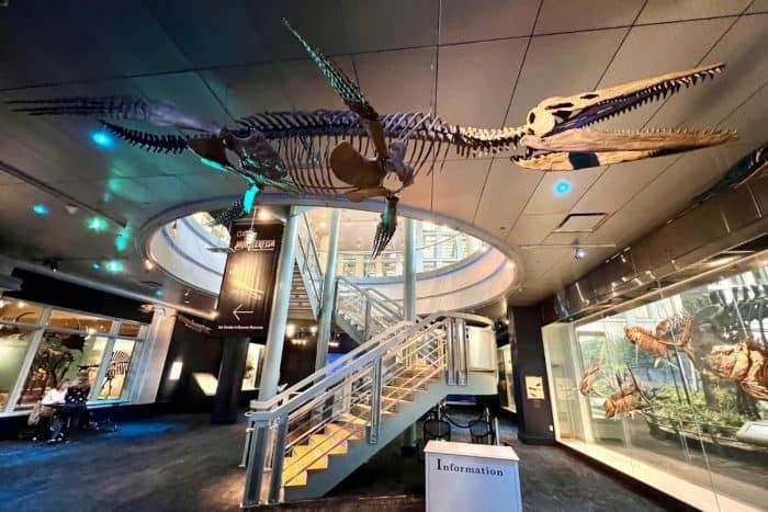 dinosaur exhibit at Carnegie Museum of Natural History