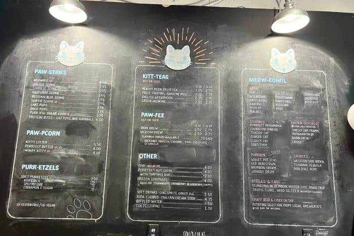 menu at Purrfect Day Cat Cafe