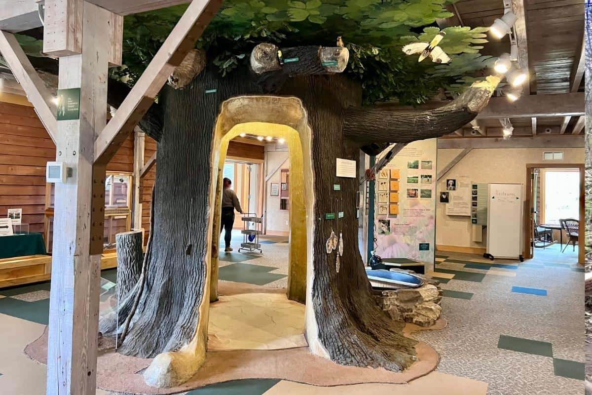 Can You Believe These Giant Trolls are in Dayton, Ohio?