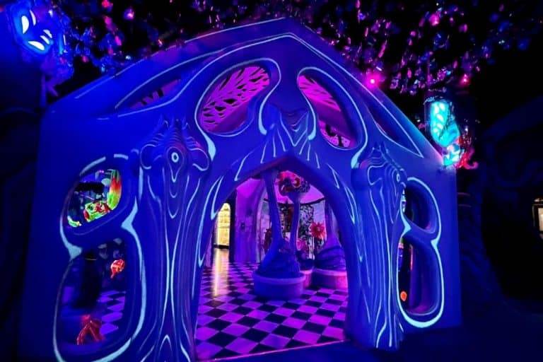 Tips for Visiting Otherworld in Columbus, OH