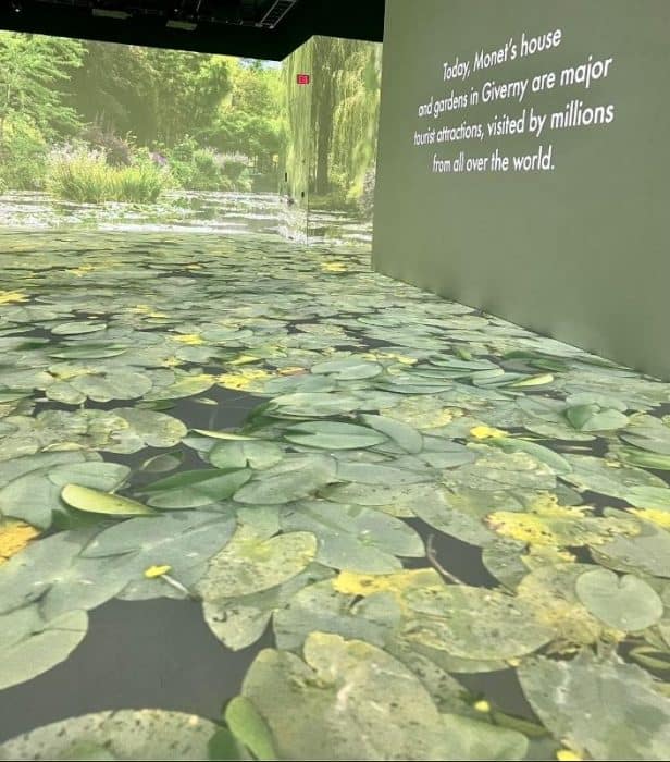 pond of lilies Monet and friends alive at the Lume