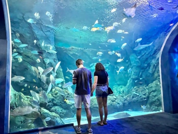couple at St. Louis Aquarium