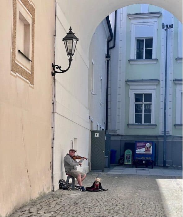 man playing violin next to dog in Passau