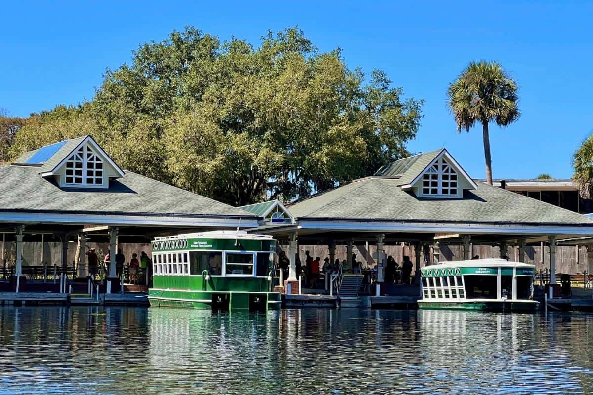 Awesome Things to Do in Silver Springs, Florida