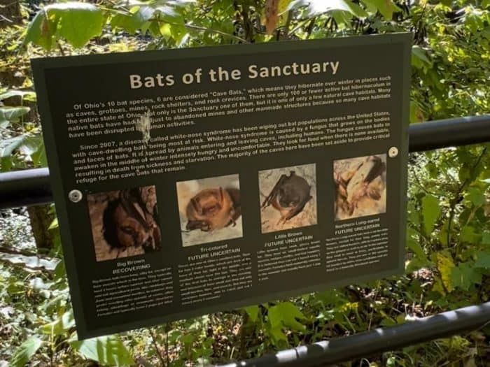 bats of the sanctuary sign at Highlands Nature Sanctuary