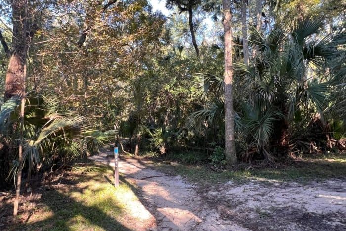 blue trail  at Juniper Springs Recreational Area  in Florida 