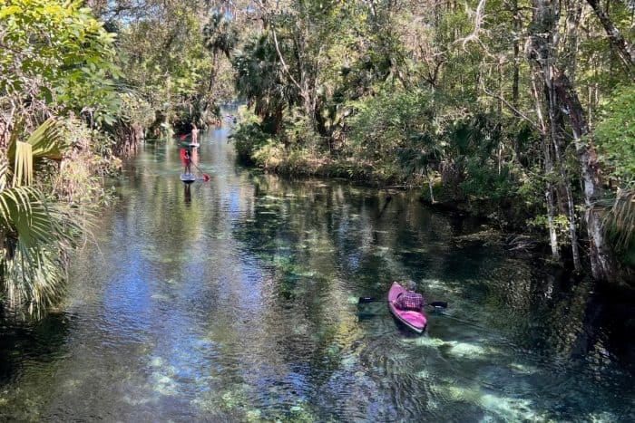  kayakers and stand up paddle boarders at Silver Springs State Park