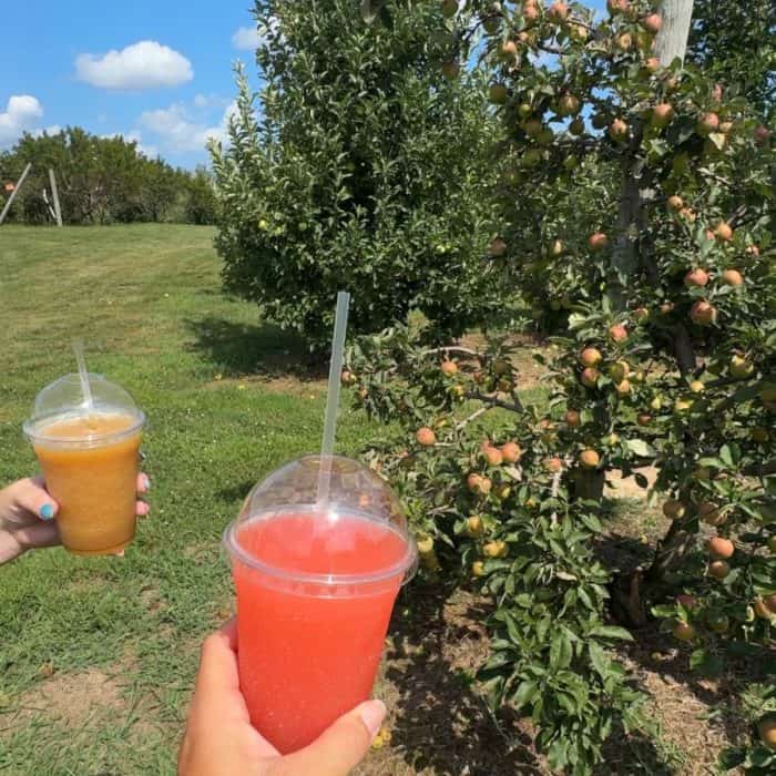 slushies at Karnes Orchard