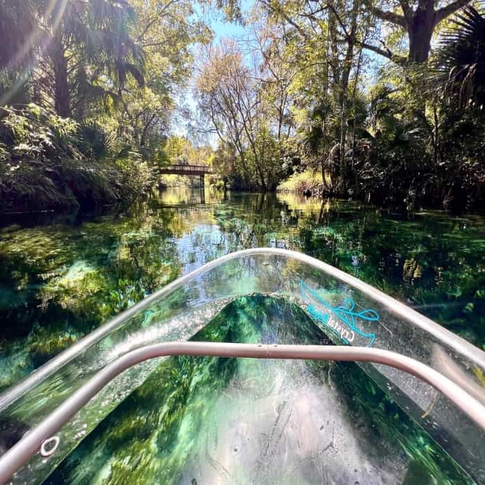 Awesome Things to Do in Silver Springs, Florida
