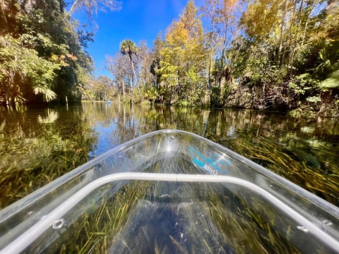 clear kayak in Silver Springs State Park 