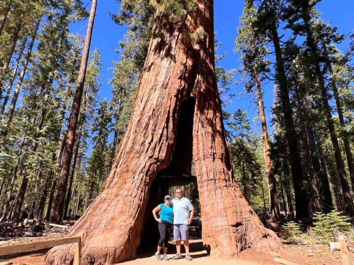 couple next to California Tunnel Tree at Mariposa Grove of the Sequoias