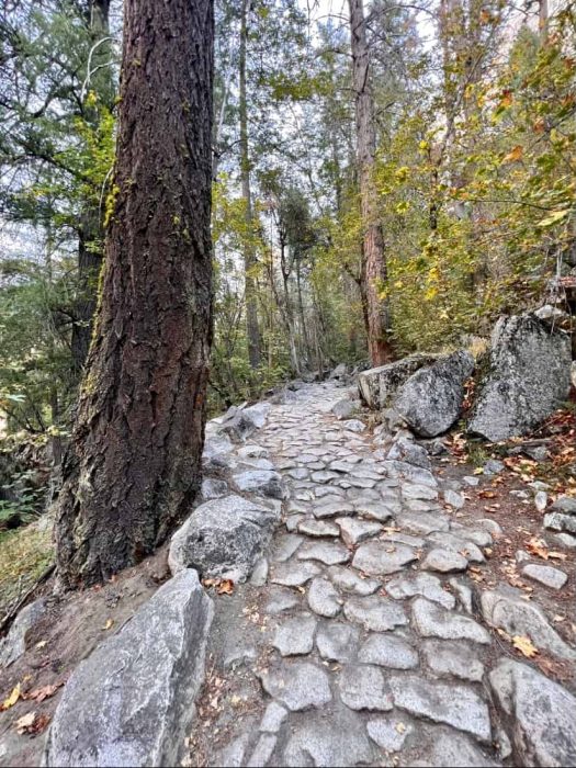 hiking trail in Yosemite National Park