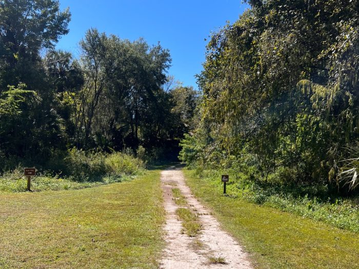 path to entrance of Silver Springs State Park