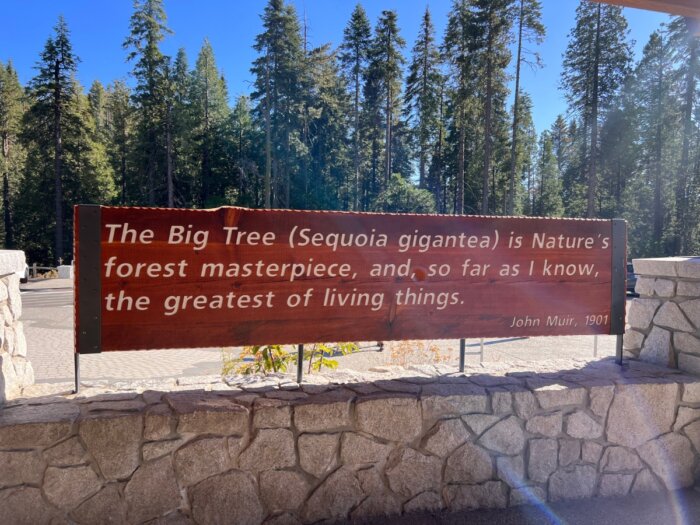 quote from John Muir at Mariposa Grove 