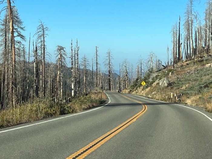 road in Yosemite National Park