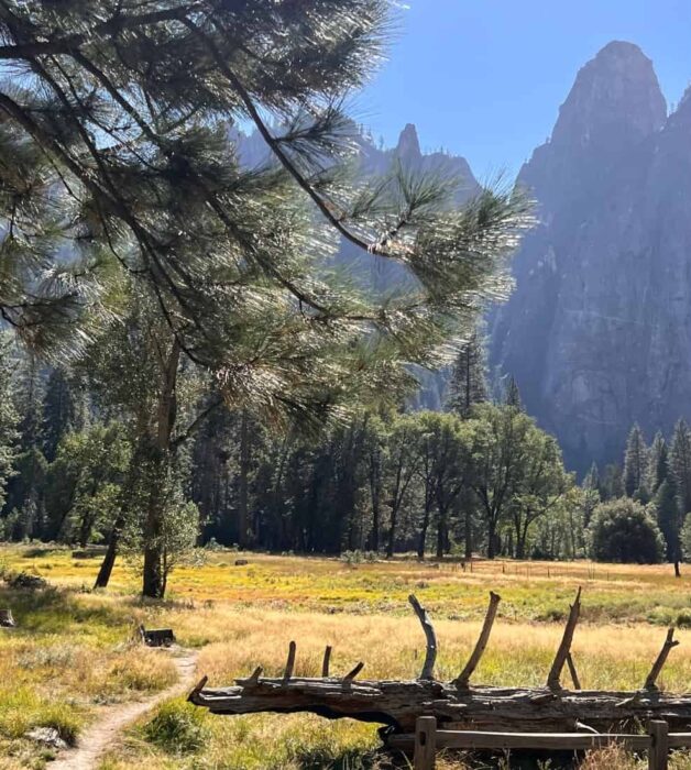 scenic view at Yosemite National Park